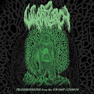 Transmissions From the Swamp Cosmos (Live)