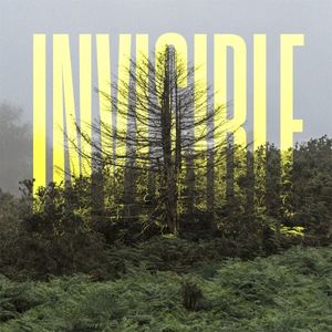 The Invisible (EP)