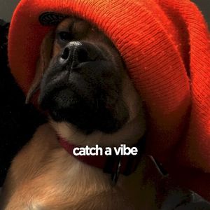 Catch a Vibe (Single)