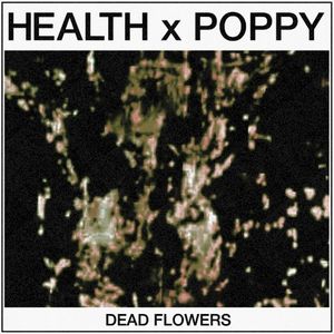 DEAD FLOWERS (Single)