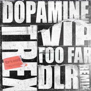 Too Far (DLR remix)