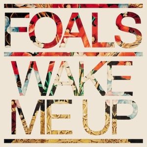 Wake Me Up (Single)