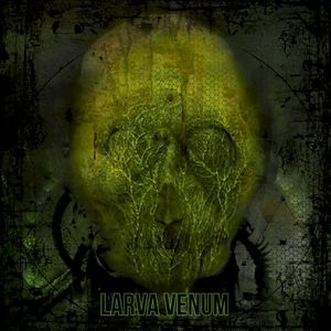 Larva Venom (Single)