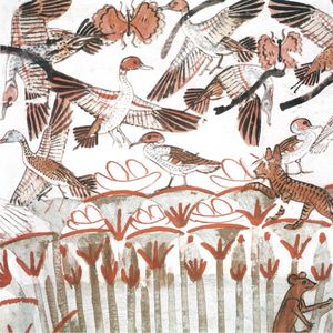 The Growing Surface E.P. (EP)