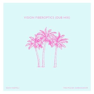 Vision Fiberoptics (dub mix) (Single)