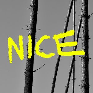 NICE (Single)