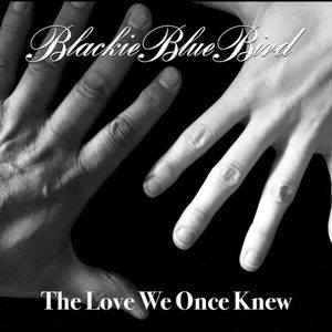 The Love We Once Knew (Single)