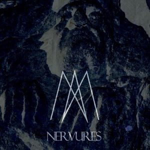 Nervures