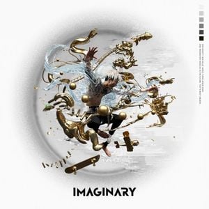 Imaginary