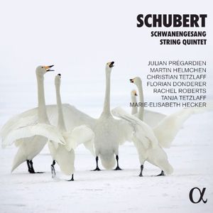 String Quintet, D. 956: IV. Allegretto – Più allegro