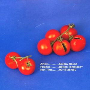Rotten Tomatoes (EP)