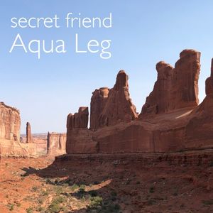 Aqua Leg (Single)