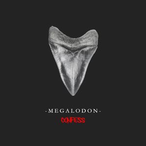 Megalodon