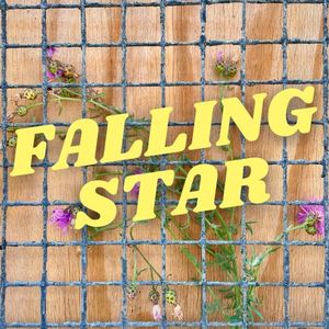 Falling Star (Single)