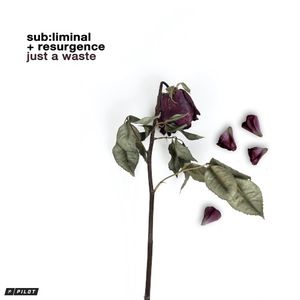 Just a Waste (Single)