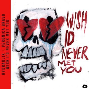 Wish I’d Never Met You (Single)