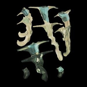 Jellyfish Reproduce Black Magic (EP)