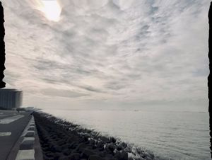 Sea of mirrors