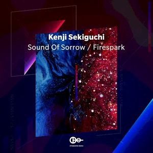 Sound Of Sorrow / Firespark (Single)