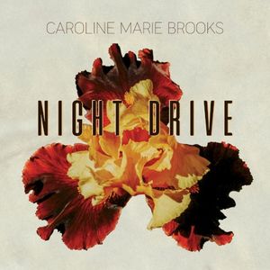 Night Drive (Single)