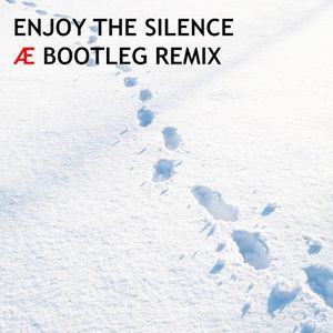 Enjoy the Silence (Æ bootleg remix)