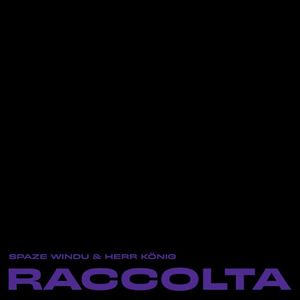 Raccolta (EP)