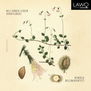 Hornflowers - Instrumental Version
