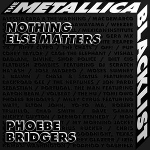 Nothing Else Matters (Single)