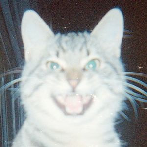 Leopard Gum (EP)
