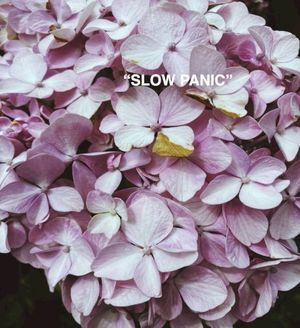 "SLOW PANIC" (EP)