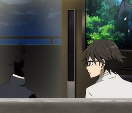 image-https://media.senscritique.com/media/000020426061/0/durarara_x2_ten.png