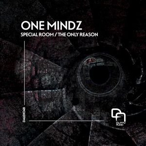 Special Room / The Only Reason (Single)