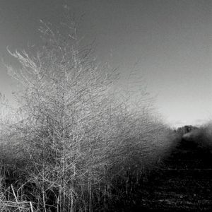 Archives (10 Years Affin)