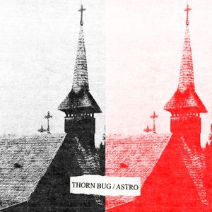 ASTRO / Thorn Bug