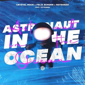 Astronaut in the Ocean (Single)