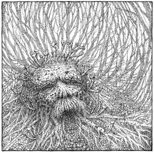 Nemorous (EP)