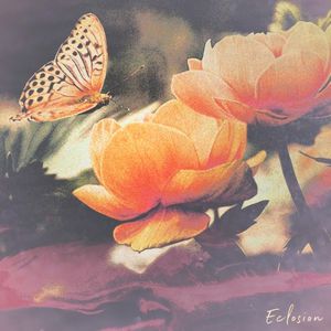 Eclosion (EP)