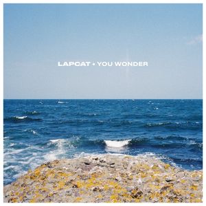 You Wonder (Single)