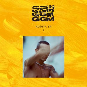 Agüita (Remix)
