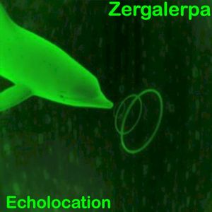 Echolocation