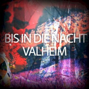 Bis in die Nacht - Valheim (Single)