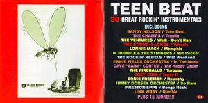 Teen Beat (30 Great Rockin’ Instrumentals)