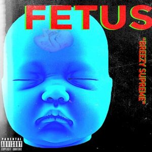 Fetus (Single)