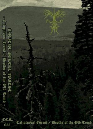 Caliginous Forest / Depths of the Old Tomb