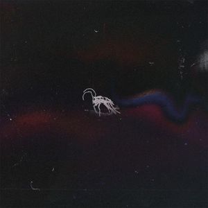 bugtape