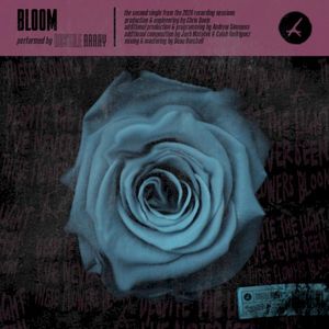Bloom (Single)