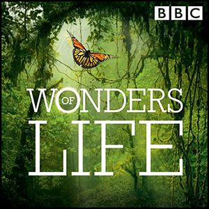 Wonders of Life (OST)
