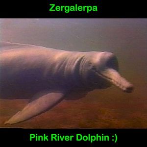 Pink River Dolphin :) (EP)