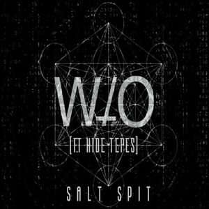 SALT SPIT (Single)