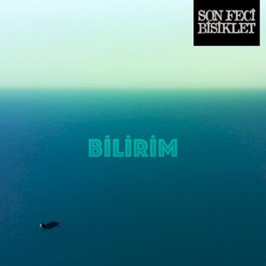 Bilirim (Single)